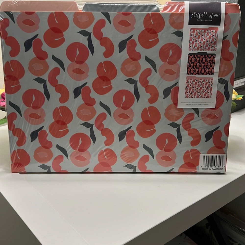 New File Folder Set -  9 File Folders (3 each of styles)